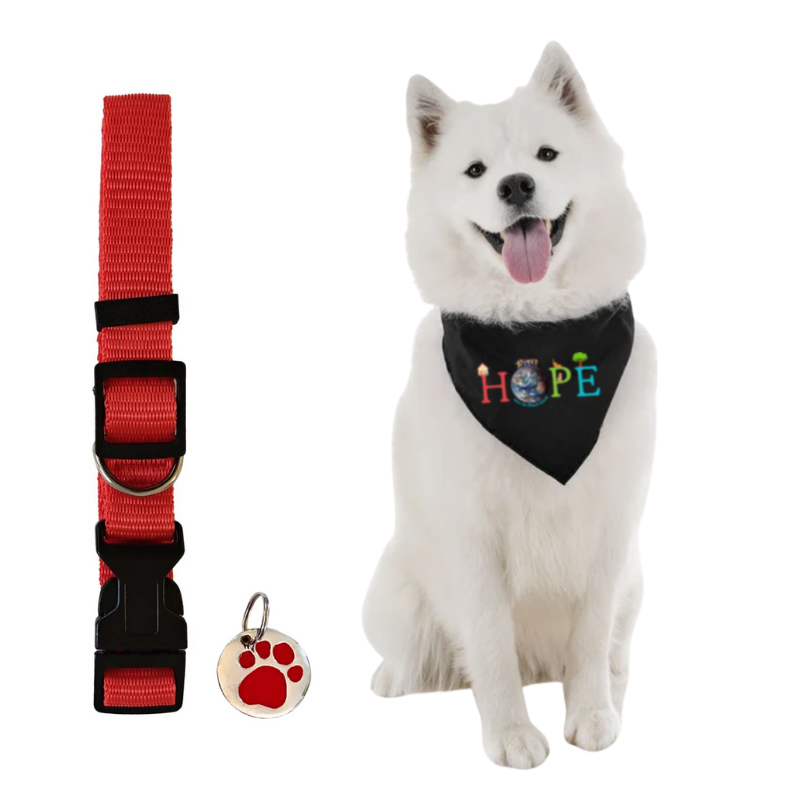 HOPE Reversible Dog Bandana with Adjustable Collar and Tag Bundle